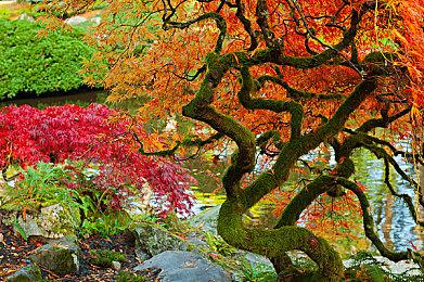 《星刃》首日补丁性感服装遭和谐 玩家强烈不满